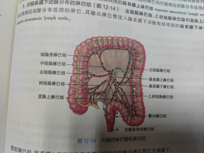 「功能解读」小熊c06n1和c08H2哪个好？评测结果不看后悔