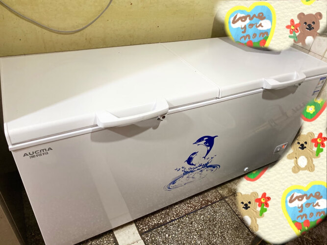 「实情必读」澳柯玛冰柜ne与DNE区别哪个好？评测结果不看后悔