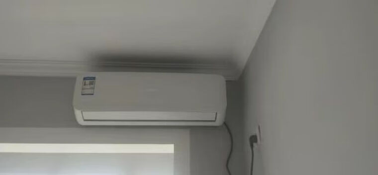 网友剖析新科A01和A02区别比较 哪款好？这样选不盲目