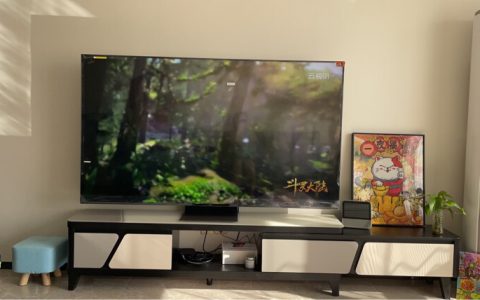 达人爆料TCL75Q10G与海信75E8H哪个好？这样选不盲目